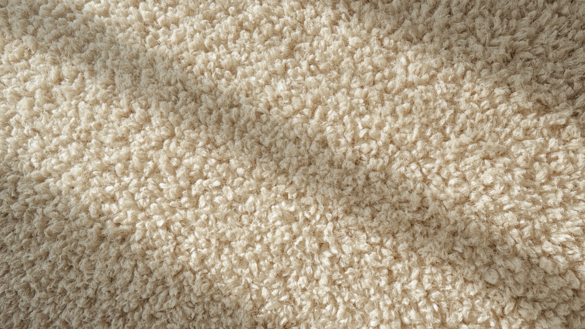 How to Clean Wool Carpet Safely: The Complete Guide